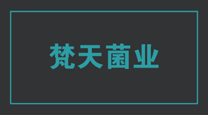 食品行业青岛冲锋衣设计款式
